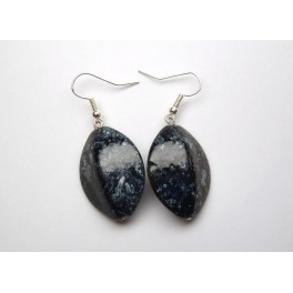 Earrings Blue Star Earrings Blue Star